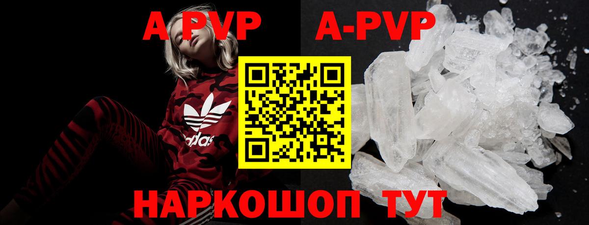 A PVP СК КРИС Мыски