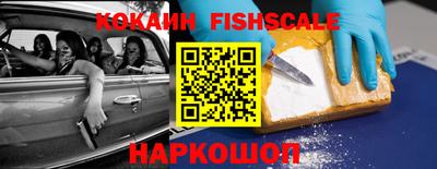 шишки Дубна