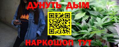 шишки Дубна
