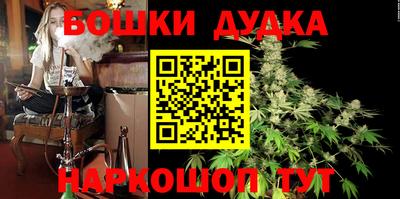шишки Дубна