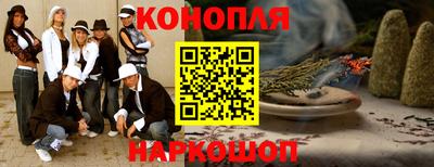 шишки Дубна