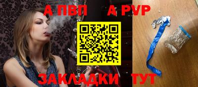 шишки Дубна
