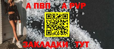 шишки Дубна