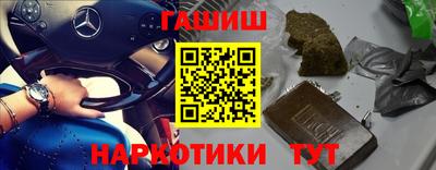 шишки Дубна