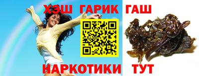 шишки Дубна