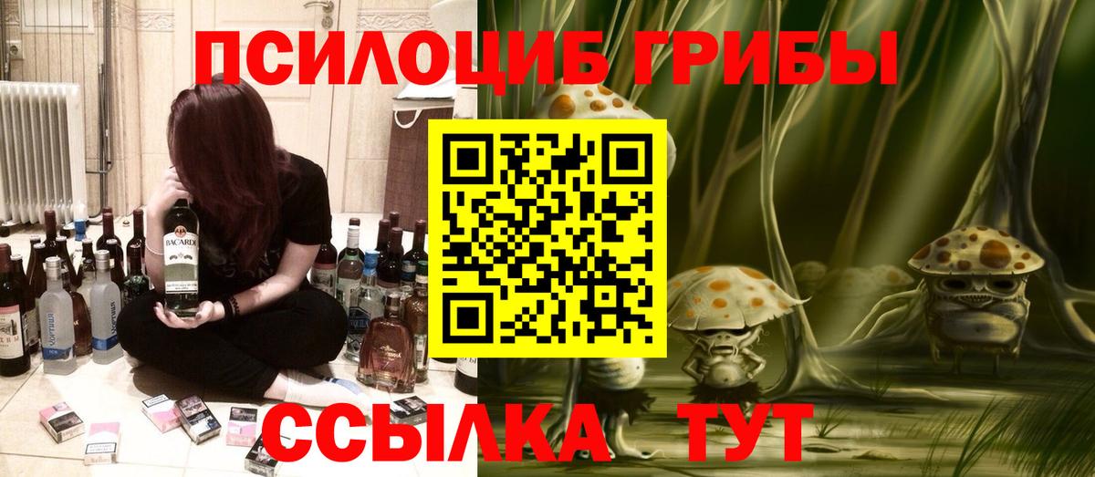 Псилоцибиновые грибы Psilocybine cubensis Мыски