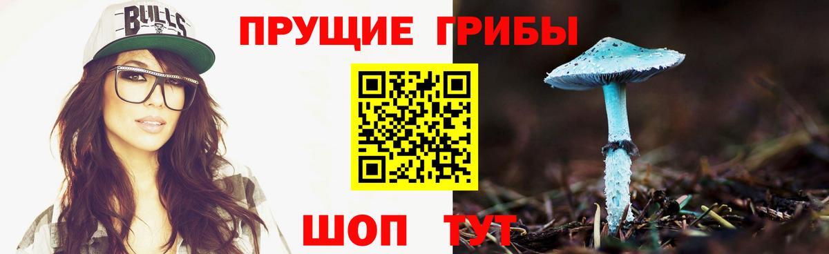 Мыски  Галлюциногенные грибы GOLDEN TEACHER  Вход с VPN 